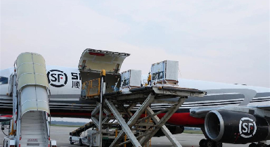 四隻旅日大熊貓平安回國