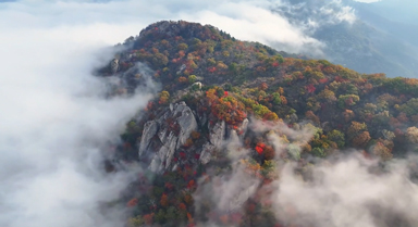 航拍云海與紅楓的秋日邂逅
