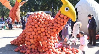 北京：秋日出游正當(dāng)時(shí)