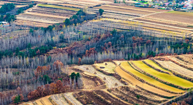 山東青島:冬日梯田景如畫