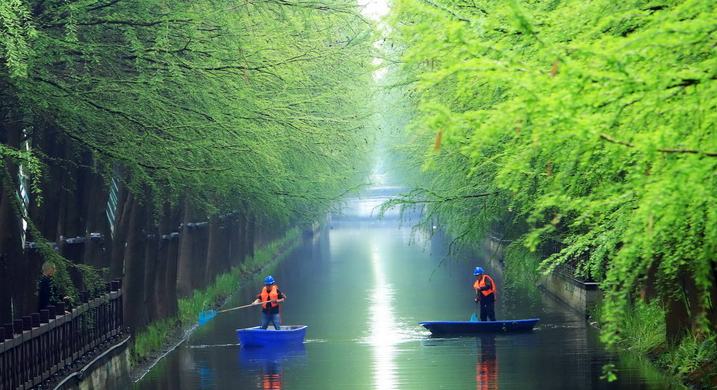 浙江臺州：巡河保潔守護(hù)水生態(tài)
