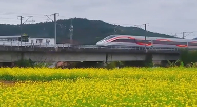 春日限定鐵路風(fēng)景，坐著火車去賞花